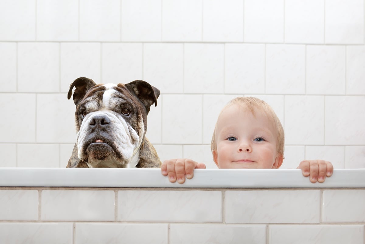 Is a Bath Needed for Resale Tub with Dog and Toddler