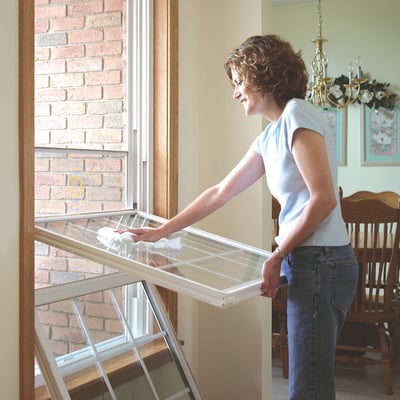 Cleaning Double Hung copy
