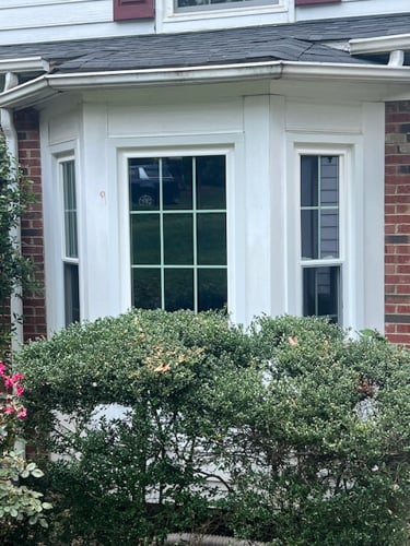 Murray Windows (2 of 5)