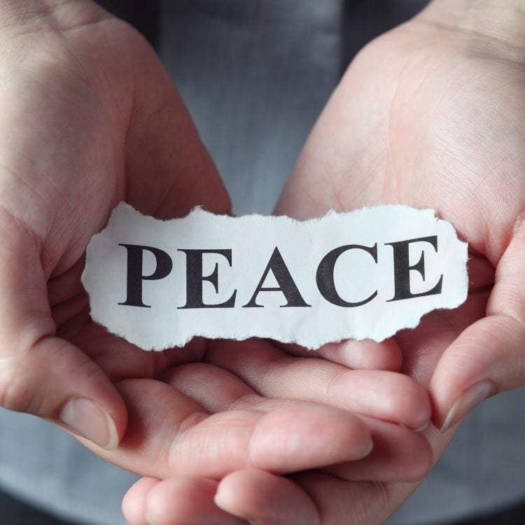 Warranty for Peace of Mind
