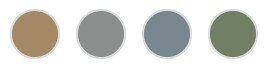 Bold Siding Colors
