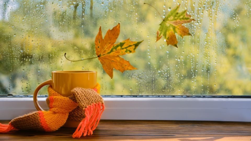 Fall Inspired Window Treatments